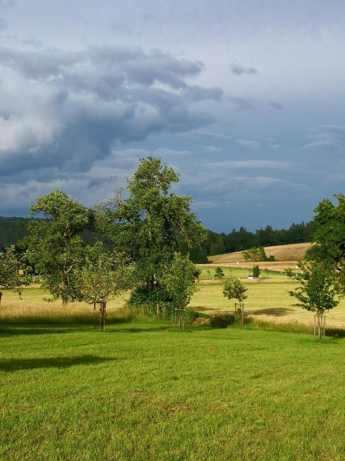 Mooi Ruim Appartement In Antieke Stadsboerderij Schonecken Экстерьер фото