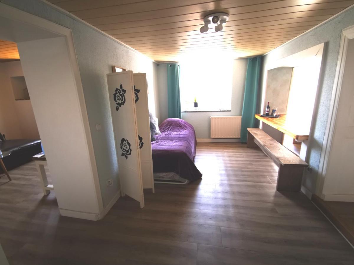 Mooi Ruim Appartement In Antieke Stadsboerderij Schonecken Экстерьер фото